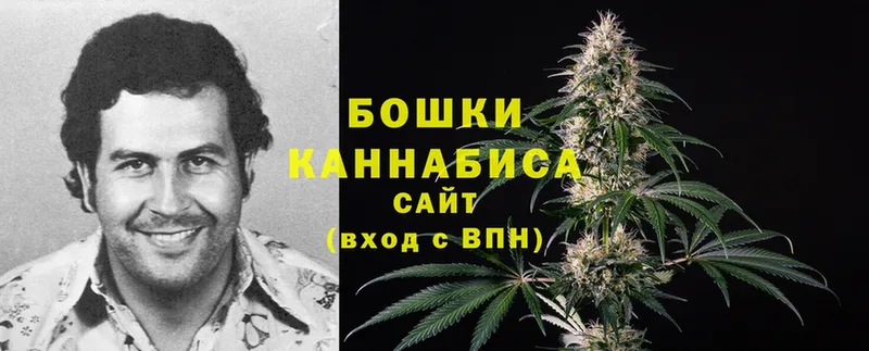 Марихуана THC 21%  блэк спрут ССЫЛКА  Данков 